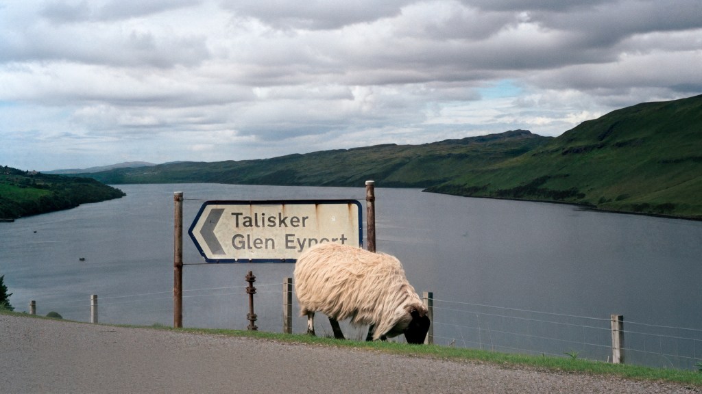 A scenic view of a lake and rolling hills with a sheep grazing near a road sign indicating directions to Talisker and Glen Eyre.