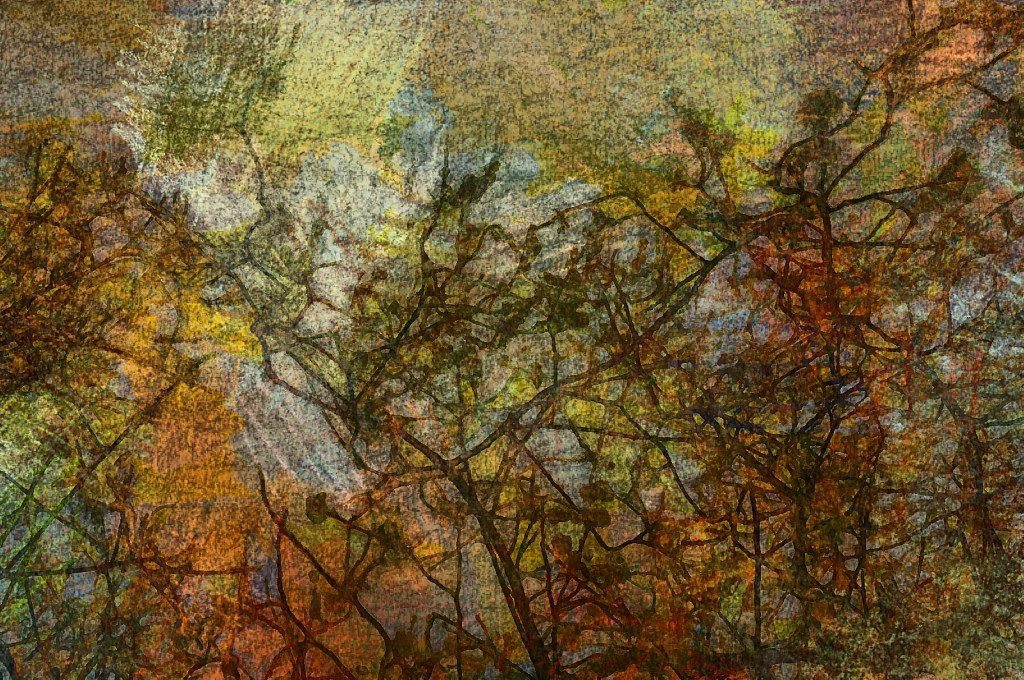 An abstract artwork featuring a blend of vibrant colors and intricate patterns resembling branches and blossoms, showcasing a post-processing technique.