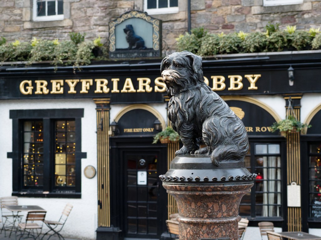 Statue of Greyfriars Bobby, a small dog, on a pedestal in front of the Greyfriars Bobby pub, with decorative plants above the pub's entrance.