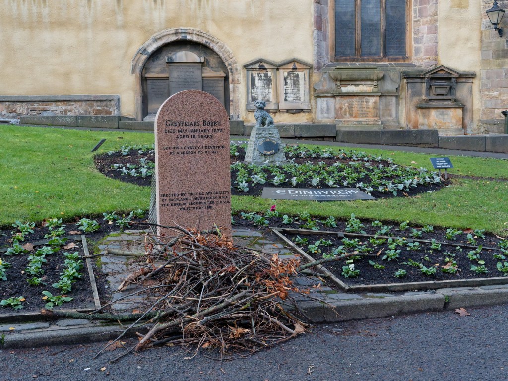 Gravestone of Greyfriars Bobby, surrounded by a floral area and a pile of sticks, with a church in the background.
